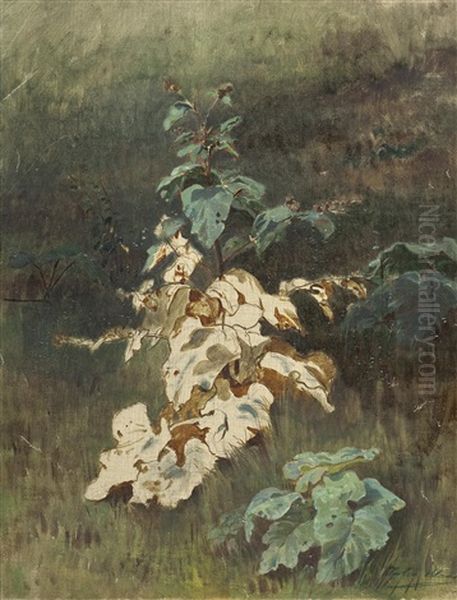 Pflanzen (unfinished Study) - view 1