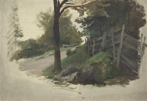 Waldweg Mit Zaun