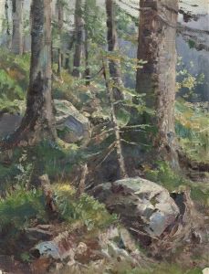 Steine Im Fichtenwald Steine Im Fichtenwald