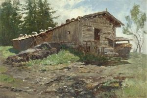 Almhutte Im Sommerlicht