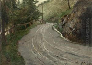 Bergstrase Mit Zaun