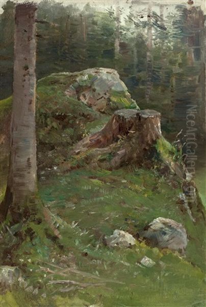 Fels Mit Baumstumpf Im Wald - view 1