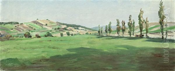 Weite Landschaft Mit Pappelallee - view 1