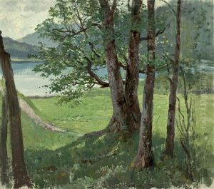 Baume Am See Baume Am See