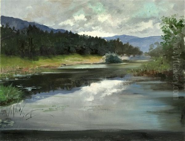 Seelandschaft - view 1