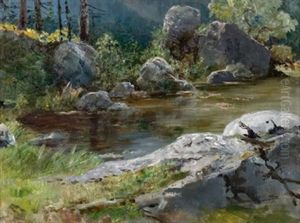 Am Stillen Gewasser Im Wald
