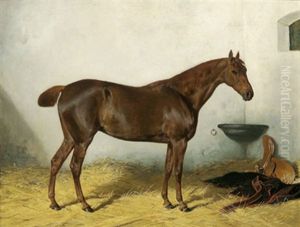 Brauner Im Stall by Julius von Blaas