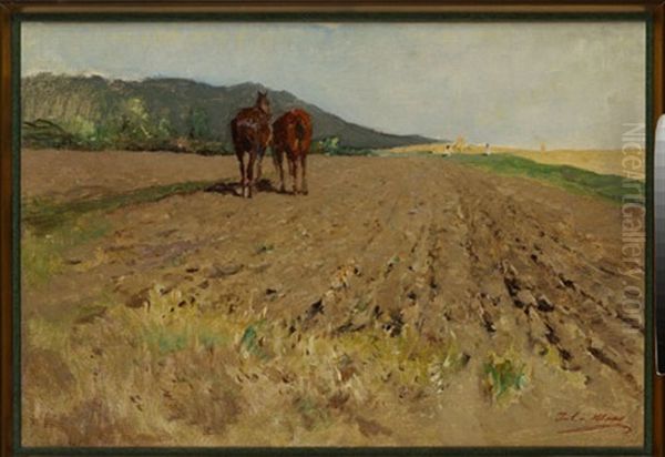 Pferde Am Feld - view 1