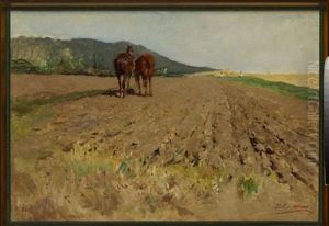 Pferde Am Feld Pferde Am Feld