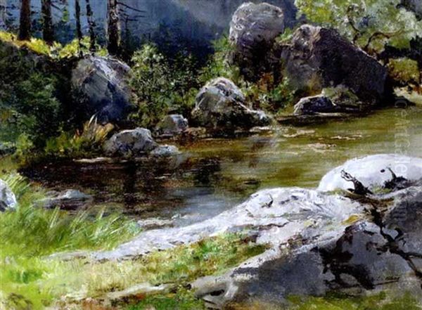 Am Stillen Gewasser Im Wald - view 1