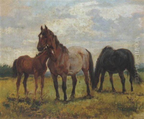 Pferde Auf Der Koppel - view 1
