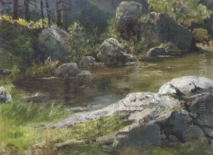 Am Stillen Gewasser Im Wald