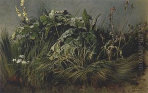 Wiesenstuck (u.a. Huflattich)