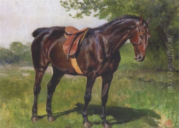 Gesattelter Brauner In Sommerlicher Landschaft - view 1