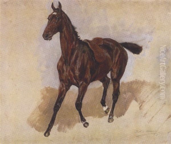 Trabender Gesattelter Brauner - view 1