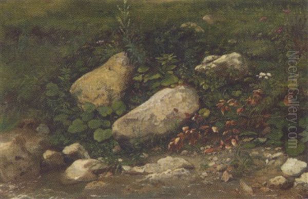 Steine Und Pflanzen Am Bach - view 1