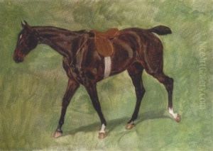 Gesattelter Brauner Gesattelter Brauner