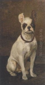 Sitzender Mops (mops "tommy")