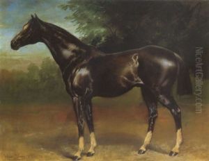 Versenylo (racing Horse)