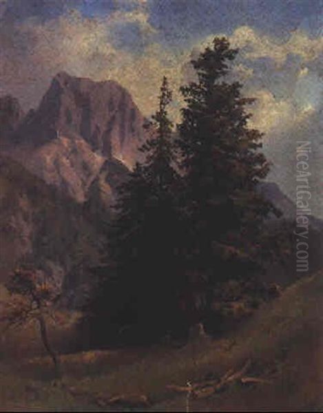 Gebirgslandschaft - view 1