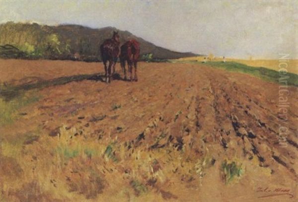 Pferde Am Feld - view 1