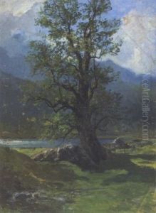 Landschaft Mit Grosem Laubbaum by Julius von Blaas