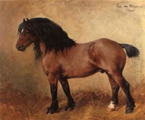 Gailthaler Mahlschimmel Gailthaler Mahlschimmel