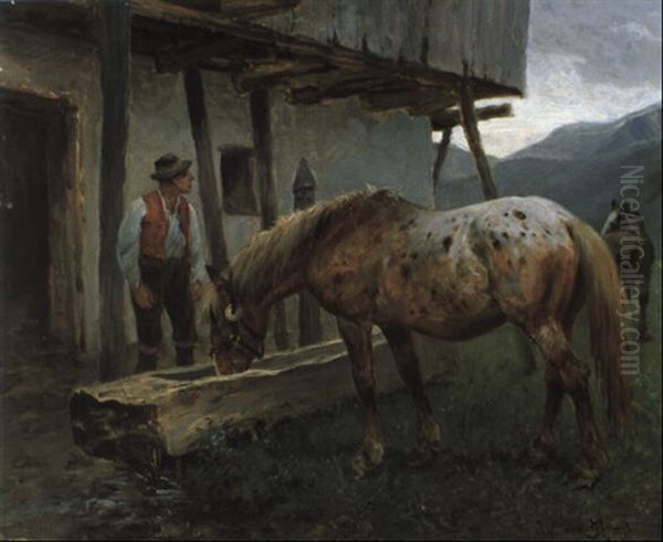 Pferd An Der Tranke Am Bauernhof - view 1