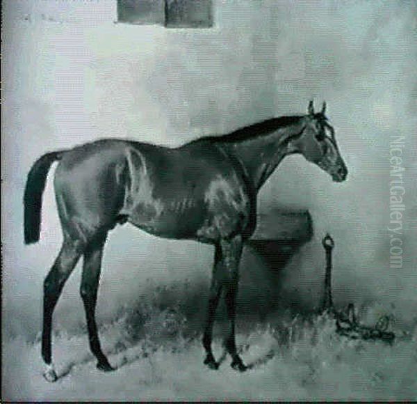 Bay In Loose Stall - view 1