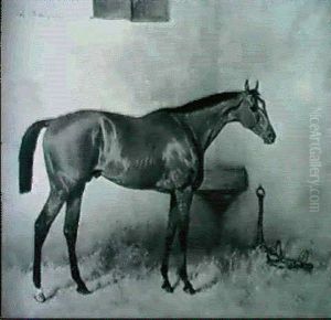 Bay In Loose Stall Bay In Loose Stall