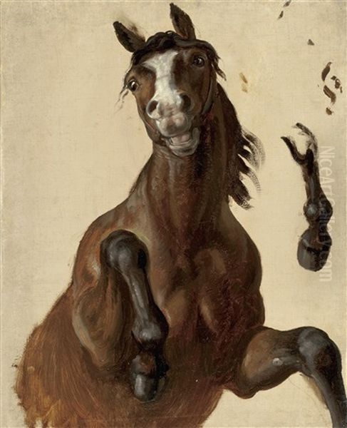 Ein Steigendes Pferd Und Eine Vorderhand (studies) - view 1