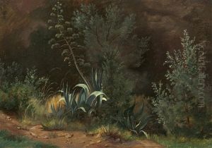 Wiesenstuck Mit Agaven