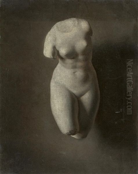 Torso Einer Romischen Venusstatue - view 1