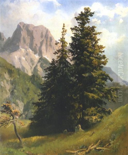 Sommertag Im Hochgebirge - view 1