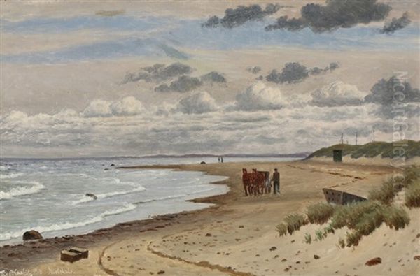 A Carriage On The Beach - view 1