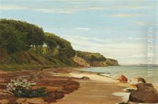 Danish Coastal Scenery - view 1
