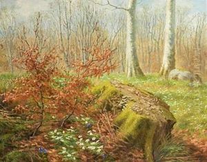 Forest Scenery With Anemones And Crocus