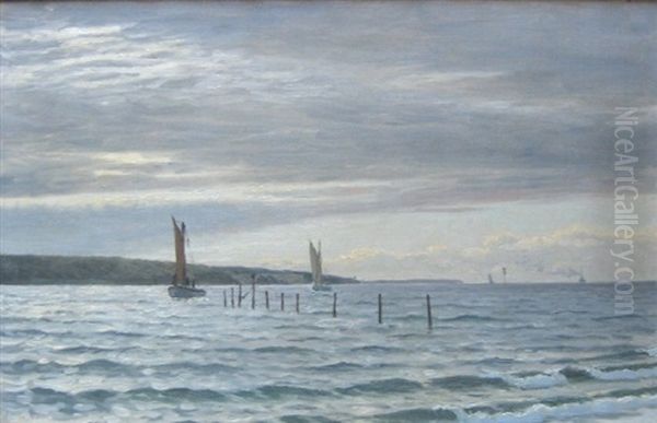 Sejlbade Og Skibe Naer Kysten - view 1