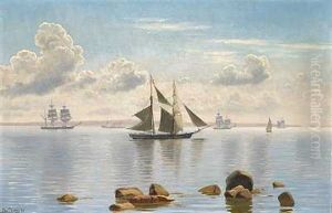 Sejlskibe Pa Havet En Stille Sommerdag