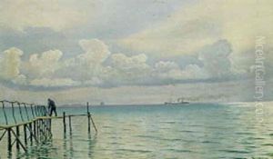 Parti Fra Oresund Med Badebro Og Dampskib