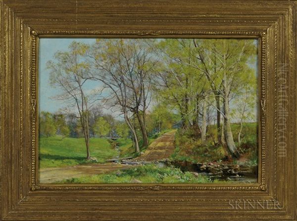 Country Lane In Spring - view 1