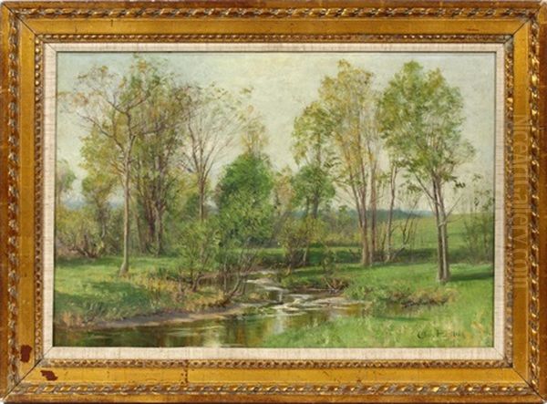 Landscape - view 1