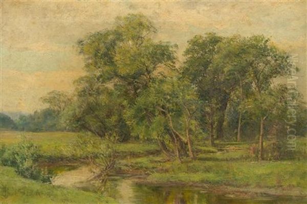 Landscape - view 1