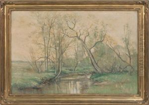 Country Stream by Olive Parker Black