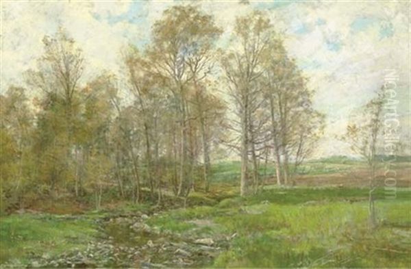 A Rocky Brook In A Green Field - view 1