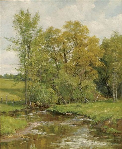 Landscape - view 1
