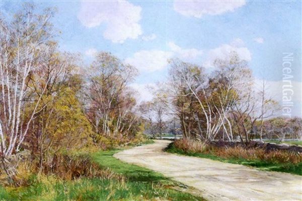 Autumn Landscape With Rural Path - view 1