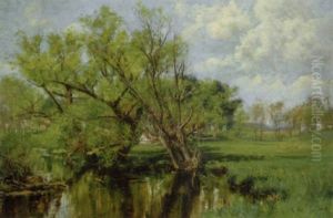 Brook In Spring by Olive Parker Black