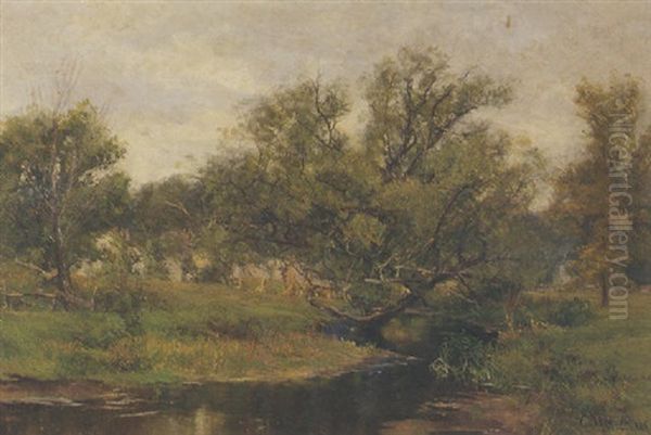 A Summer Stream - view 1