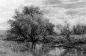 Summer Stream Summer Stream